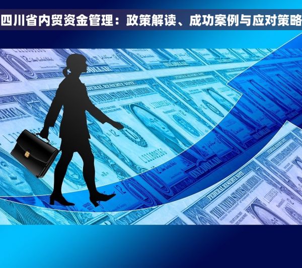 四川省内贸资金管理：政策解读、成功案例与应对策略