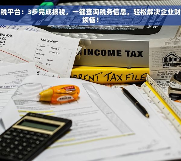 成都财税平台：3步完成报税，一键查询税务信息，轻松解决企业财税事务烦恼！
