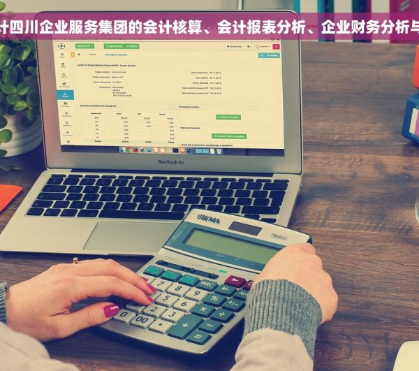 老会计四川企业服务集团的会计核算、会计报表分析、企业财务分析与决策