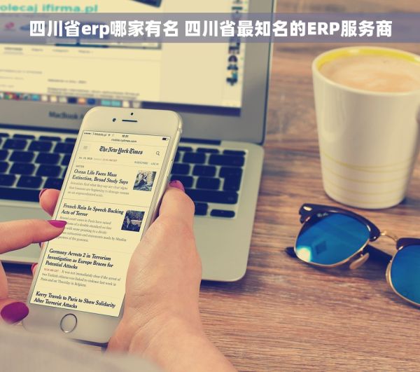 四川省erp哪家有名 四川省最知名的ERP服务商