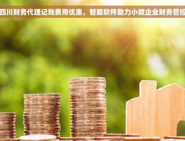 四川财务代理记账费用优惠，智能软件助力小微企业财务管控